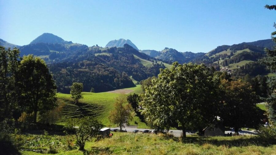 Gruyères, Cheese and Chocolate: Private Tour - GoldenPass Panoramic Train: make the season work for you