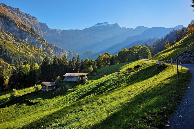 Guided Excursion to Jungfraujoch, Grindelwald and Lauterbrunnen from Lucerne - Price and value: is $427.68 worth it?