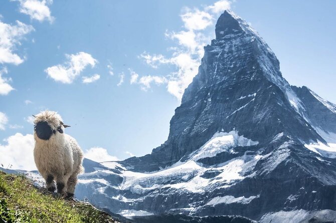 Guided Hiking Half Day in Zermatt - Gornergrat Panorama: Glacier Views and a Higher Viewpoint