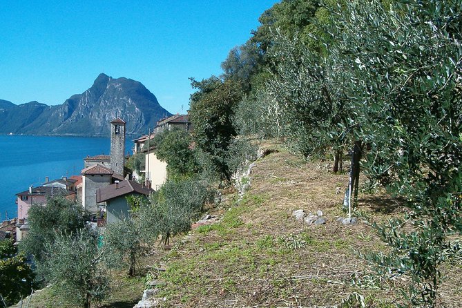Guided Walk from Lugano to Gandria promoted by Lugano Region - return by boat - Parco Ciani: a quick green breather near the action