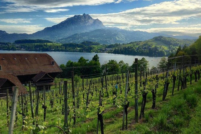 Half-Day Lake Lucerne Country Walk - Why a half-day walk around Lake Lucerne is such a smart Lucerne move