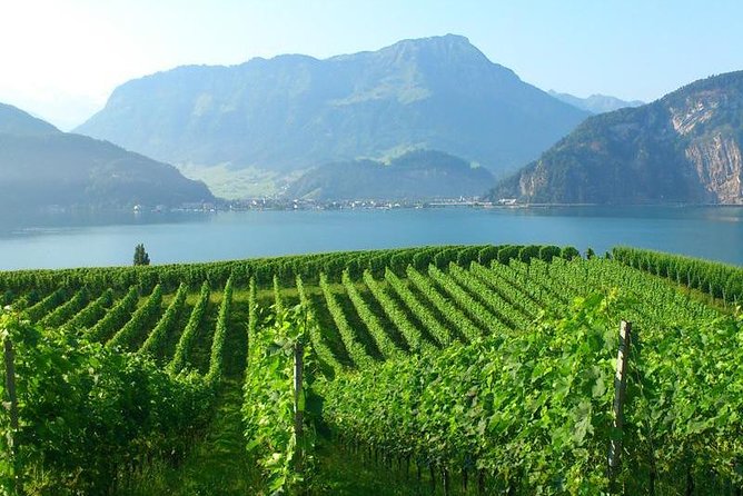 Half-Day Lake Lucerne Country Walk - The route feel: countryside paths, farm-animal moments, and photostops