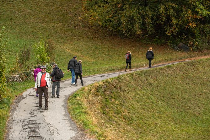 Heidiland and Liechtenstein Tour from Zurich - Winter swap: Werdenberg replaces Heidi-Village (Nov to Mar)