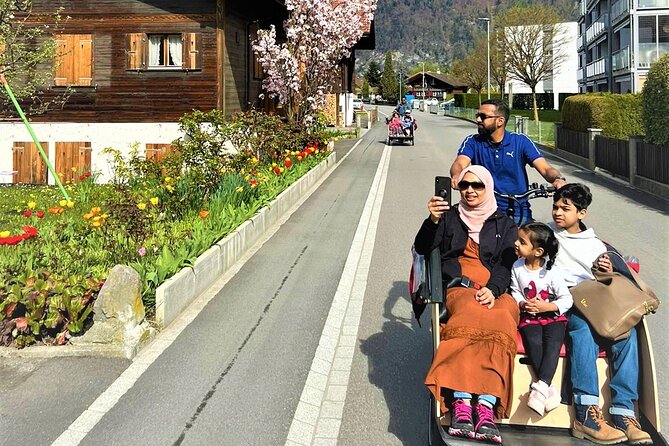 Hidden gems e-bike tour with picnic at Lake Brienz - Logistics That Matter for Your Day