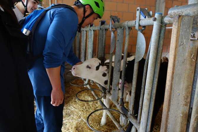 Interlaken 3-Hour Guided E-Bike Tour with a Farm and Ancient Villages Visit - Bönigen and Lake Brienz: the green water moment