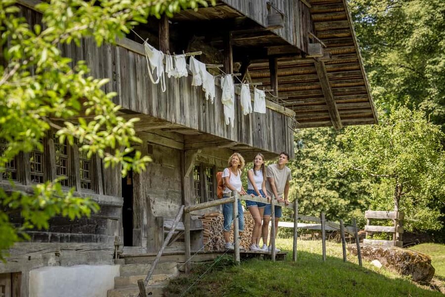 Interlaken: Admission ticket for the Ballenberg Open-Air Museum - The Medicinal Herb Garden and Themed Exhibits for Slower Moments