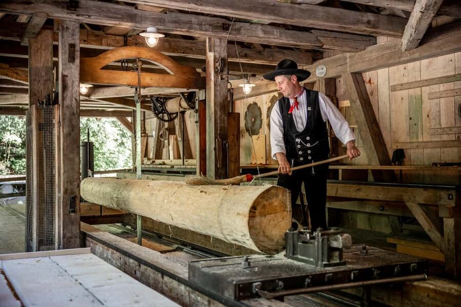Interlaken: Admission ticket for the Ballenberg Open-Air Museum - Petting Zoo and Farm Animals: A Kid-Friendly Break That Adults Enjoy
