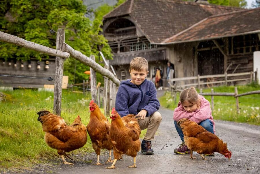 Interlaken: Admission ticket for the Ballenberg Open-Air Museum - Food on Site: Picnic Options and Bread from a Wood-Fired Oven