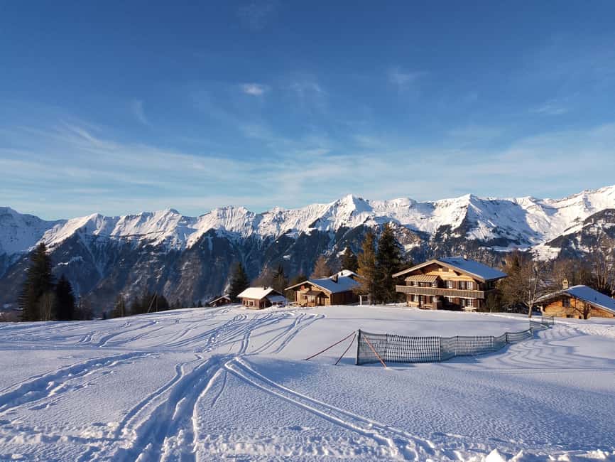 Interlaken: All-inclusive Half-day Ski Taster for beginners - What You Learn First: Speed Control and Turning on Easy Terrain