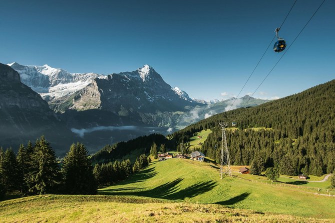 Interlaken and Grindelwald Day Trip from Lucerne - The Optional Mt First Cable Car: The Big Views Upgrade in Summer