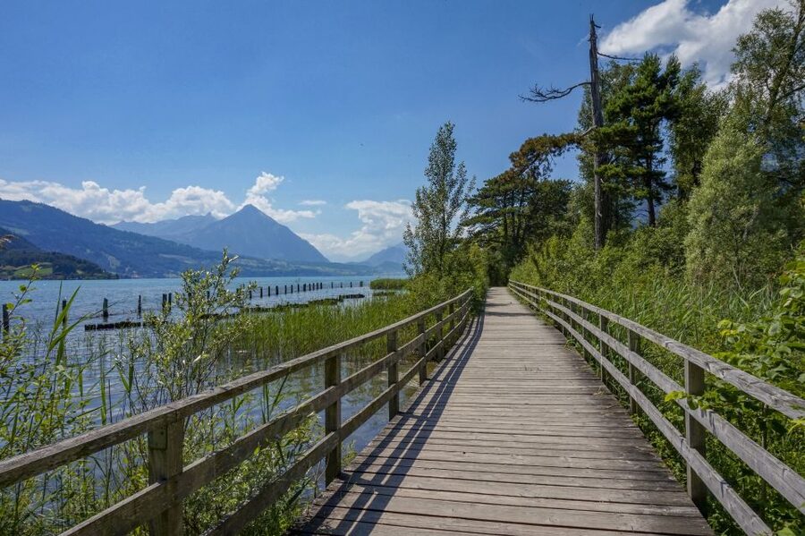 Interlaken: Express Walk with a Local in 60 minutes - Why this 60-minute Interlaken walk is such a smart use of time