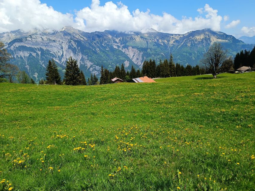 Interlaken: Highlights Tour with a Local by Private Car - Trümmelbach Waterfalls: the stop that feels most different in person