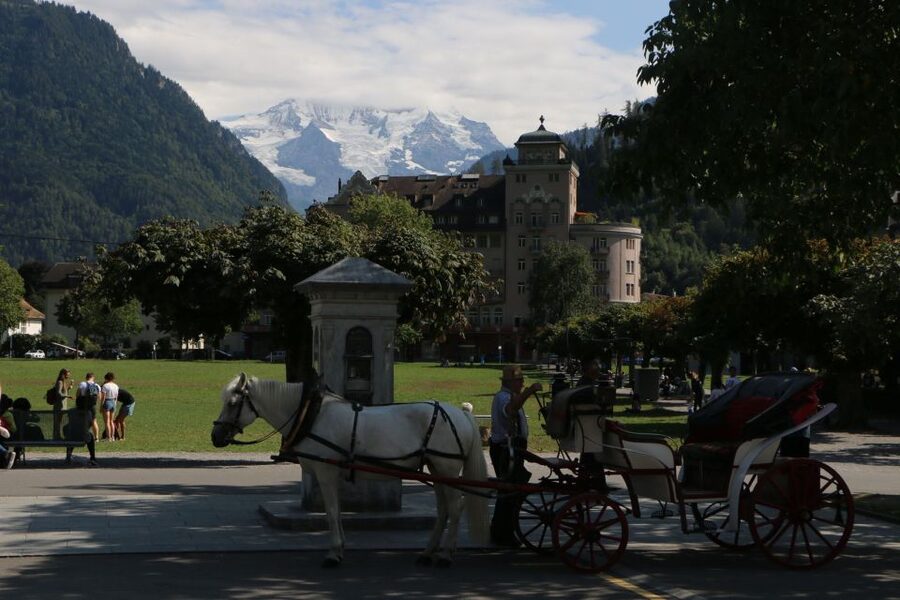 Interlaken: Highlights Tour with a Local by Private Car - Hidden secrets by road: Grimsel Pass road, Susten Pass, and back-road viewpoints