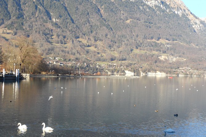 Interlaken Private Tour: Mountains Cows, Thun Lake, and Brienz Lake - Neuhaus Beach on Lake Thun: Quick Coffee, Big Water Views