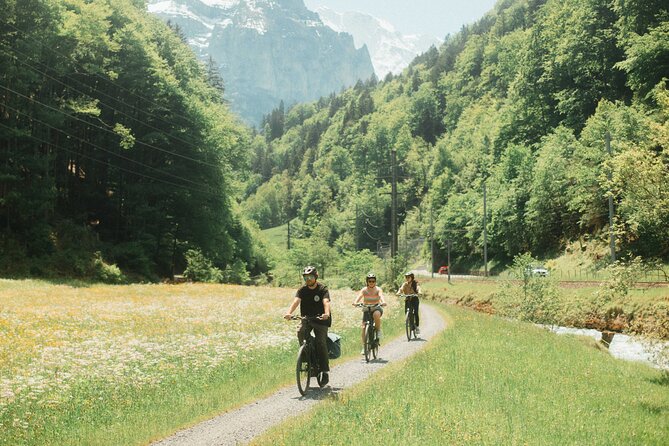 Interlaken Valley E-Bike Tour: Rivers, Lakes, Forests & Castles - Quick hits you will care about