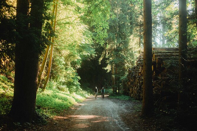 Interlaken Valley E-Bike Tour: Rivers, Lakes, Forests & Castles - Start at Yellow Velo, right by the station, and get set up fast