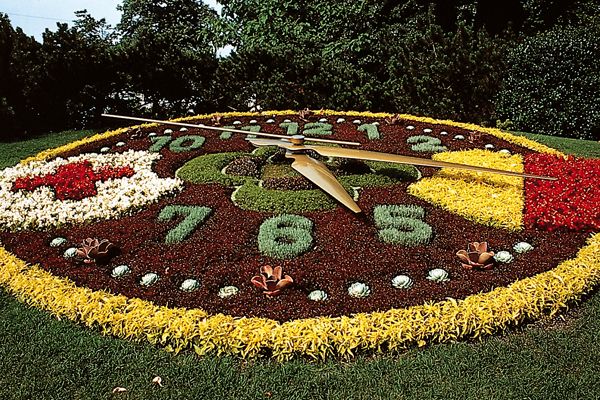 International & Panoramic Tours Geneva - Jet d’eau and the Flower Clock, plus why the lakeside timing is smart