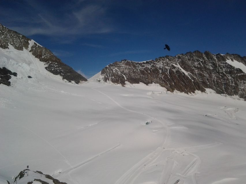 Jungfraujoch Top of Europe Private Day Trip from Bern - Price and value: what $1,010 per person actually covers