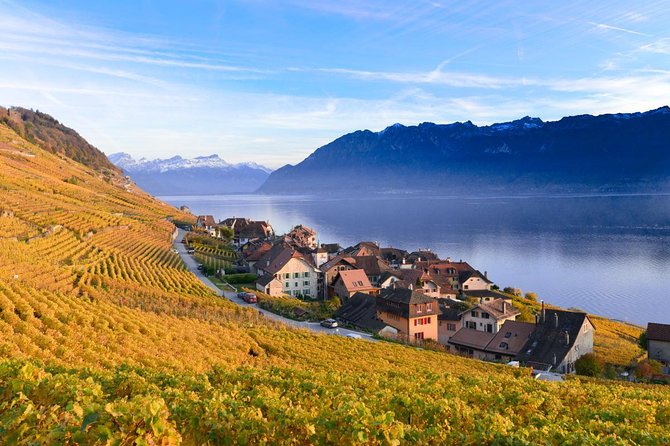 (KTG302) - Day Trip to Montreux & Château de Chillon from Geneva - The Vevey timing: quick market time and why it can work