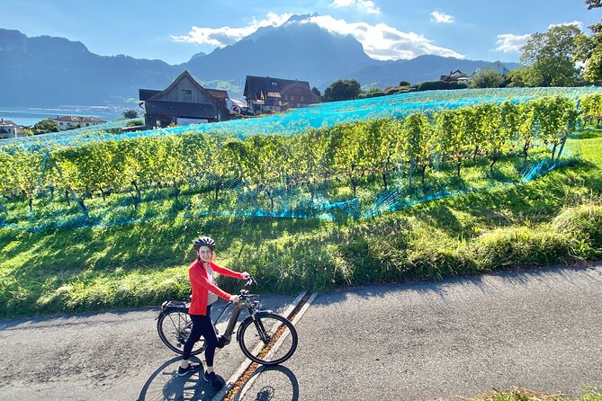 Lake Lucerne Peninsula e-bike Tour - Key moments you will remember