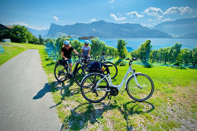 Lake Lucerne Peninsula e-bike Tour - A stop at a popular beach, plus apple juice and seasonal fruit breaks