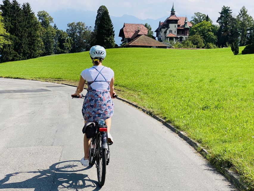 Lake Lucerne Peninsula e-bike Tour - Booking languages, group size, and what the guide handles