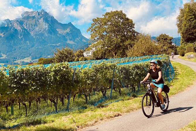 Lake Lucerne Peninsula e-bike Tour - Meeting at Torbogen, then rolling out along the city’s old rail path