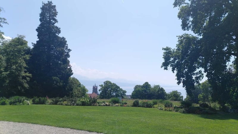 Lausanne: Cultural and Historical Guided Walking Tour - Meeting outside MHL, and getting your bearings in minutes