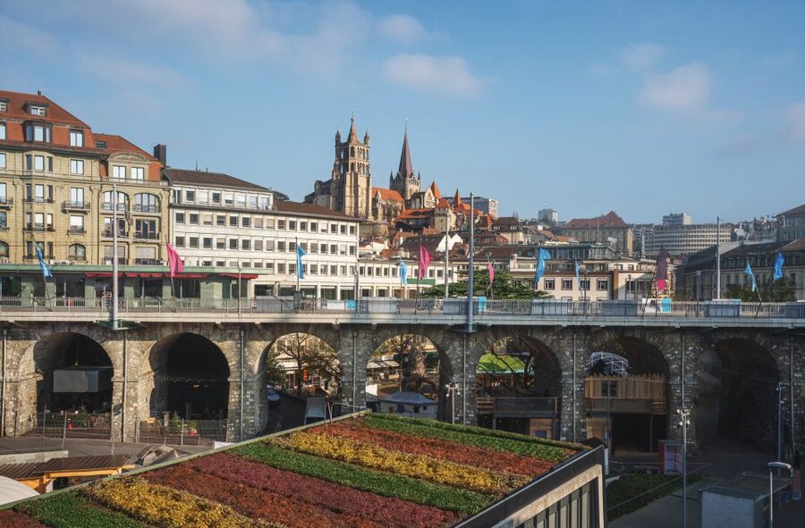 Lausanne: Express Walk with a Local in 60 minutes - Palais de Rumine: A Strong First Landmark to Orient Yourself