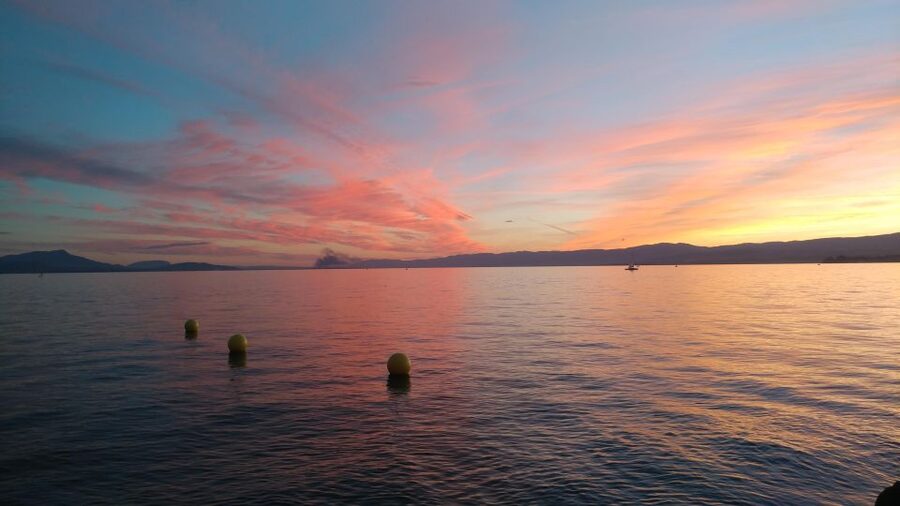Lausanne: Private Walking Tour with a Local Guide - Sauvabelin Tower and other viewpoint-friendly stops