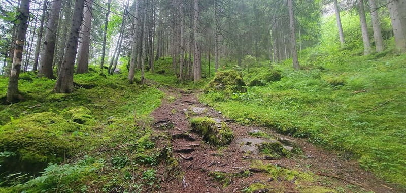 Lauterbrunnen: Private Walking Tour with an Irish Guide - Why this Lauterbrunnen walk is built for stories and photos