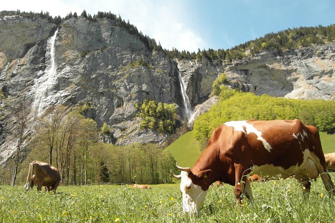 Lauterbrunnen Valley Waterfalls E-bike Tour with Swiss Picnic - Stop 4: Swiss picnic time in the middle of the valley