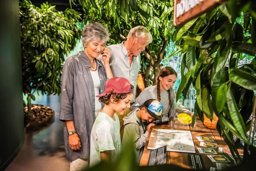 Lindt Home of Chocolate Museum Entry Ticket - Price, value, and why $22 often feels fair