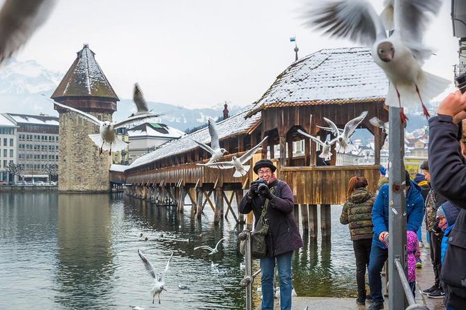Lucerne Best Guided Walks - Lion Monument: free admission, big emotion, clear context