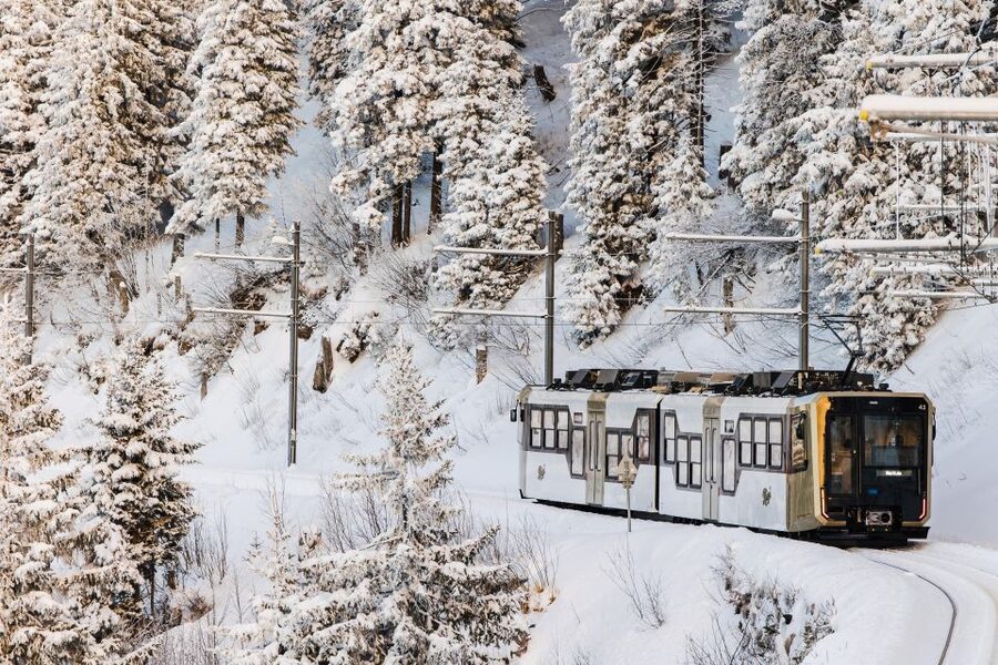 Lucerne: Boat Trip, Mount Rigi Train, & Mineral Baths Ticket - Price and Value: Is $185 Reasonable for What You Get?