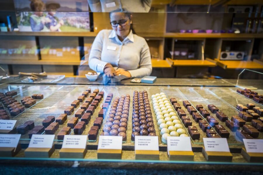 Lucerne: Chocolate Tasting with Lake Trip and City Tour - Chocolate Tasting and Workshop Time: What You Actually Do