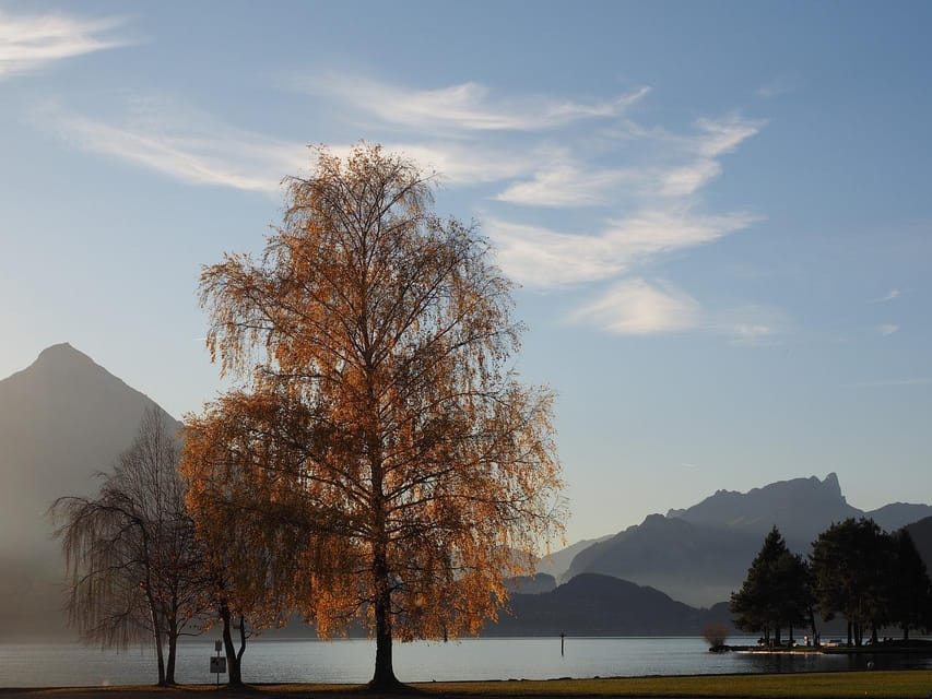 Lucerne: Interlaken & Grindelwald Exclusive Private Day Tour - Trümmelbach Falls and Lauterbrunnen as Your Midday Change of Scene