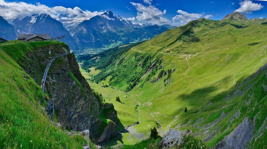 Lucerne: Interlaken & Grindelwald Exclusive Private Day Tour - Who This Tour Fits Best, and Who Might Prefer Something Else