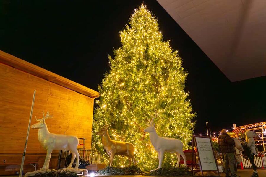 Lucerne: Lake Cruise & Old Town Tour w/ Guide & Photographer - Christmas markets finish: festive time without the stress