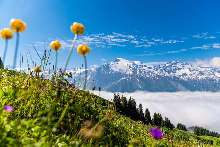 Lucerne: Mount Titlis Day Trip with Cable Car Ride - Glacier Park sledding with the Fun Lift: snow fun that isn’t only for winter
