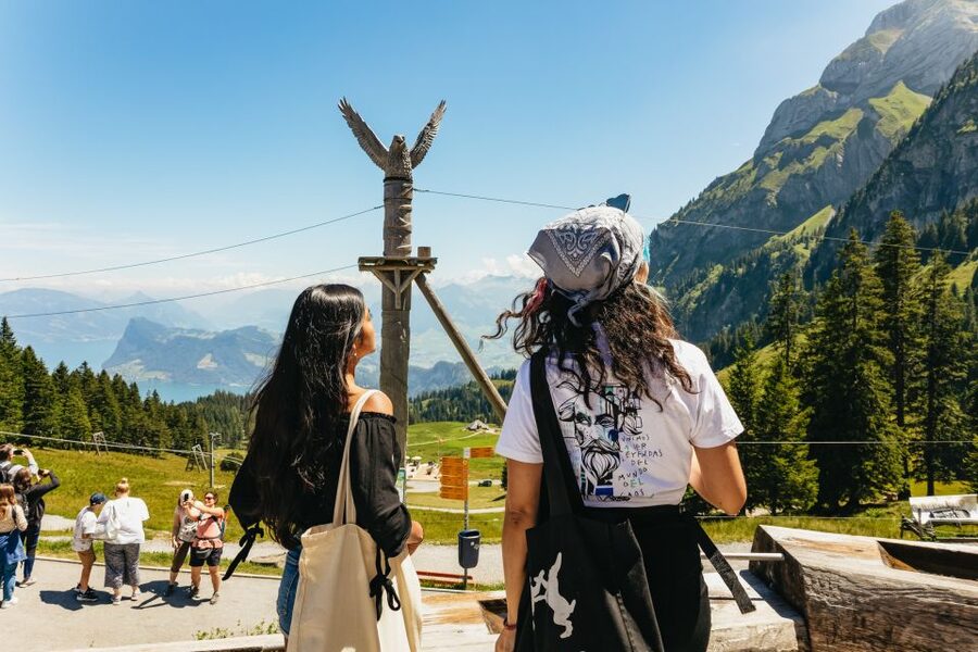 Lucerne: Mt. Pilatus Cable Car, Cogwheel Train & Lake Cruise - Descending by the world’s steepest cogwheel railway