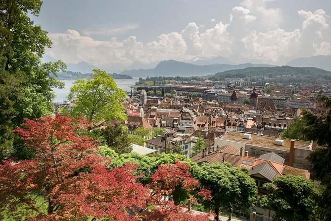 Lucerne Walking & Boat Tour: The Best Swiss Experience - The tour’s headline monument stop, plus why it feels worth the effort