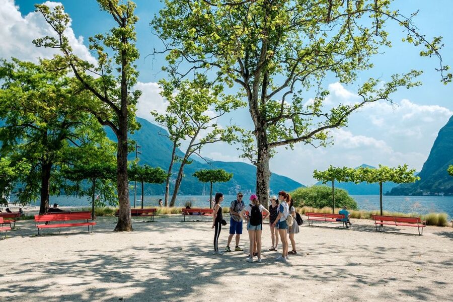 Lugano: Guided Walking Tour to Gandria with Boat Cruise - The grotti on the Olive Tree Trail: a Ticino tradition you can use