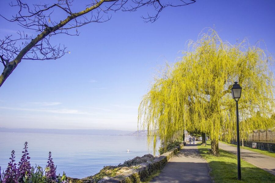 Montreux: Express Walk with a Local in 60 minutes - A Fast, Walkable Montreux Reset (Freddie Mercury to the Waterfront)