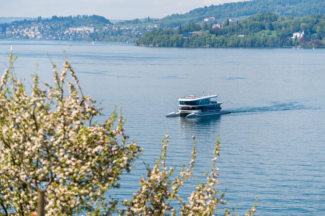 Mount Bürgenstock Independent Tour from Lucerne - The Bürgenstock stop: one hour where the view is the product
