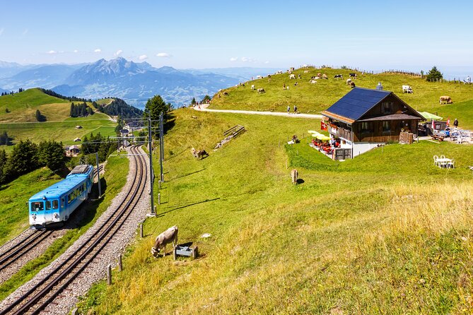 Mount Rigi: A Scenic Day Trip to the Queen of the Mountains - Rigi Kaltbad walk: easy paths, less stress