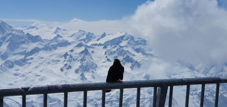 Mount Titlis Glacier World Private Day Trip from Basel - Who this private day trip suits best, and who should think twice