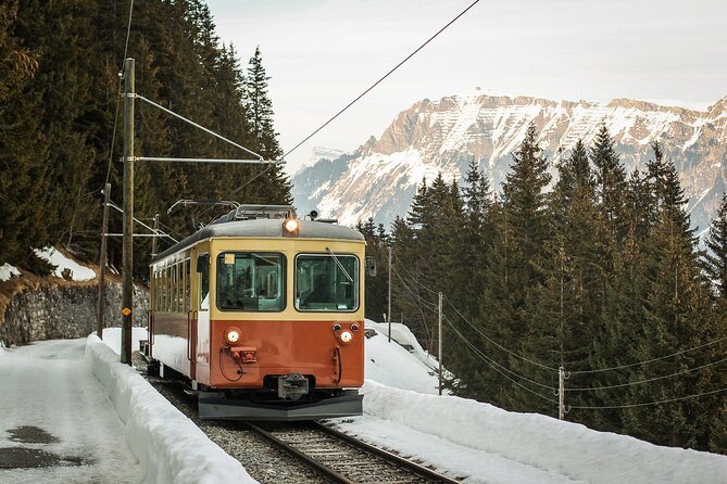 Mountain Majesty: Small Group Tour to Lauterbrunnen and Mürren - How the return works, plus optional add-ons