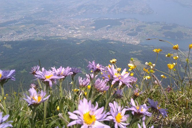 Mt. Pilatus Golden Roundtrip Private Day Trip from Luzern - Season planning: May to October vs the off-season route