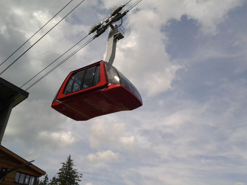 Mt.Pilatus Golden Roundtrip Small Group Day Trip from Luzern - Summit Visitor Center Time: More Than Standing on a Peak